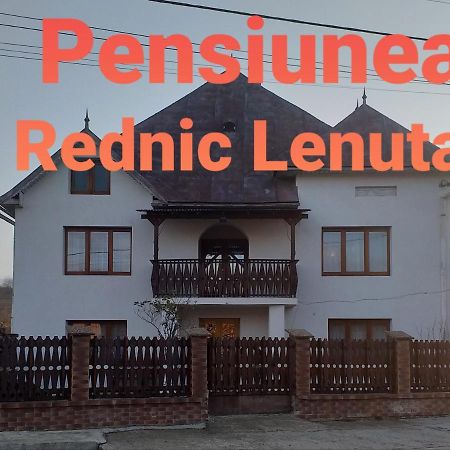 Pensiunea Rednic Lenuta Giulesti Exterior foto